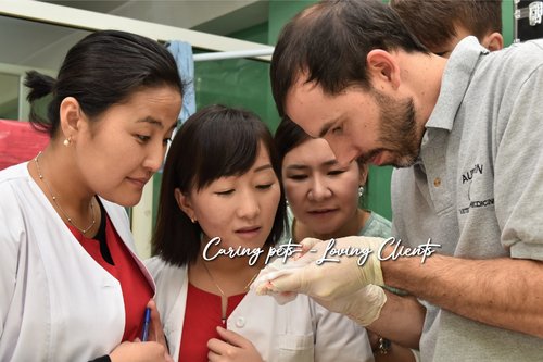 Bringing World class veterinary drug and services in Mongolia